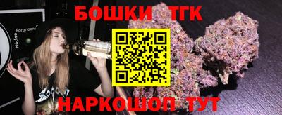 тгк Канаш